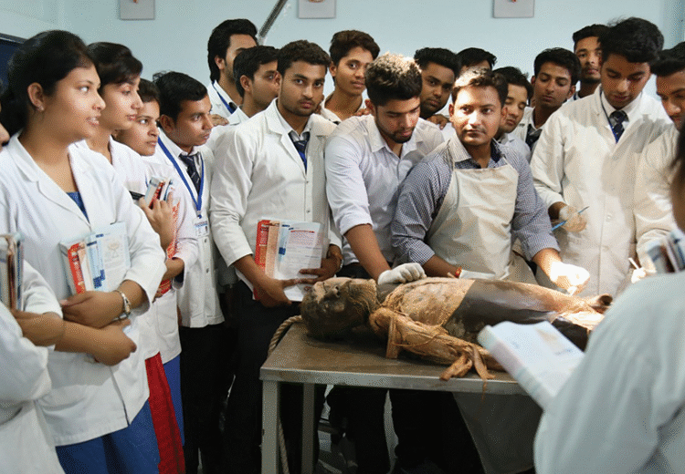 1629111127rachnashareera.67.1